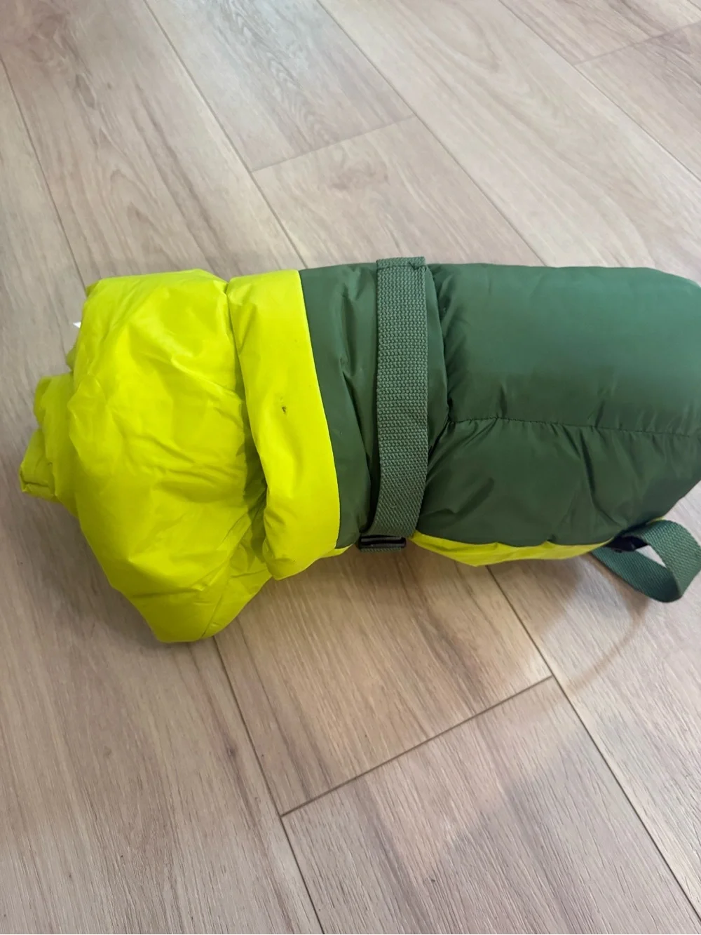 Green & Neon Yellow Roll-Top insulated pet bed for dogs